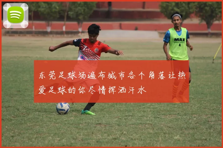 东莞足球场遍布城市各个角落让热爱足球的你尽情挥洒汗水