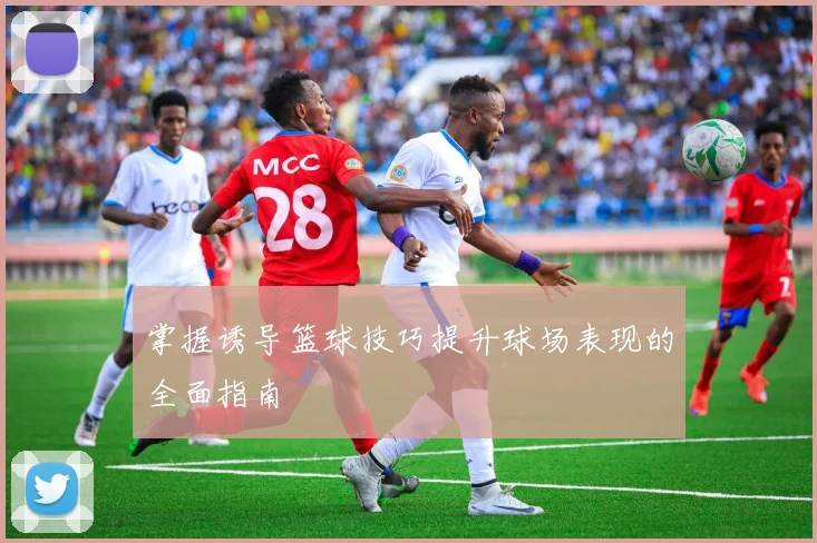 掌握诱导篮球技巧提升球场表现的全面指南