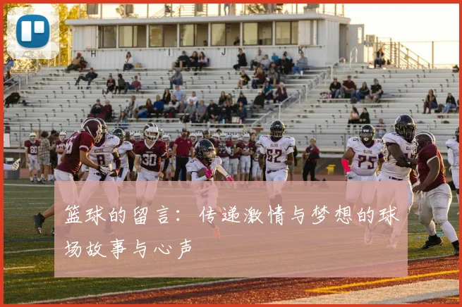篮球的留言：传递激情与梦想的球场故事与心声
