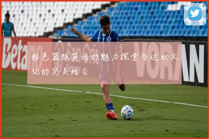 粉色篮球英语的魅力探索与运动文化的完美结合