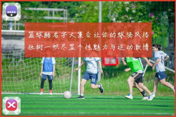 篮球酷名字大集合让你的球场风格独树一帜尽显个性魅力与运动激情