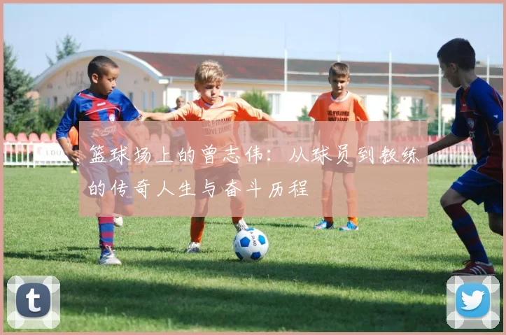 篮球场上的曾志伟：从球员到教练的传奇人生与奋斗历程