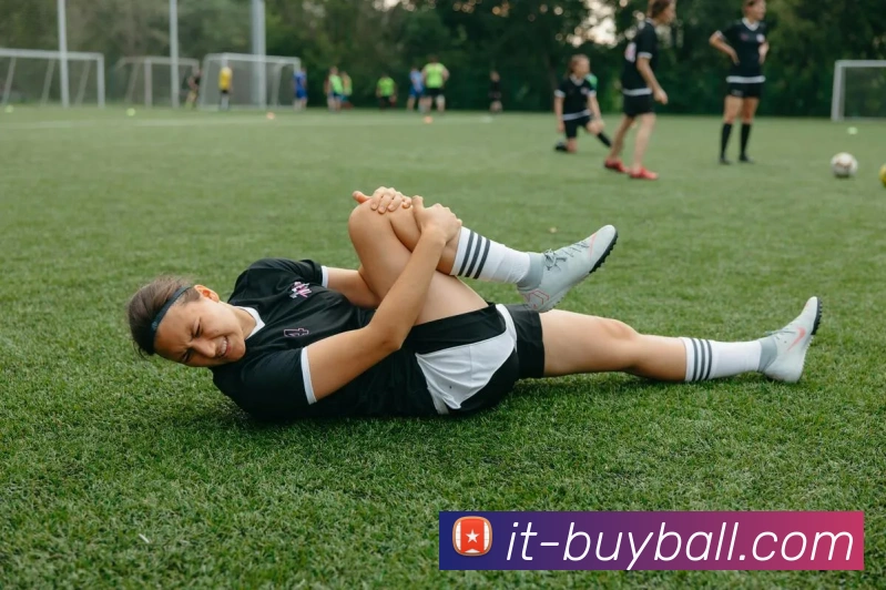 买球APP发展历程